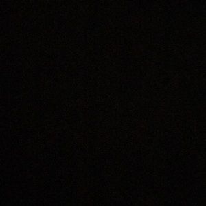 Meet your Posher, Reynard